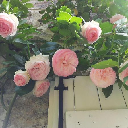 B&B Maison Coralie Sainte-Christine  Luaran gambar