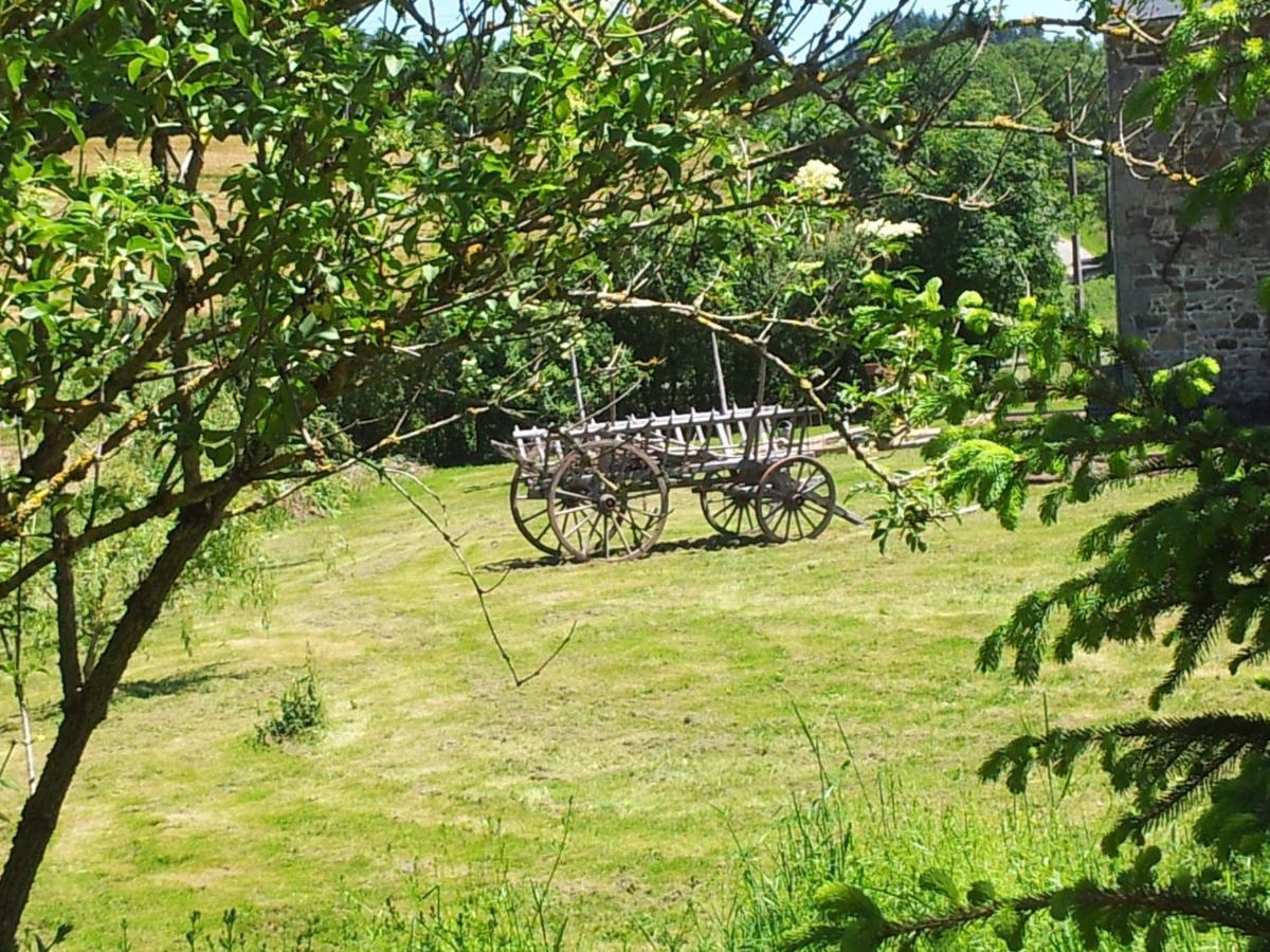 B&B Maison Coralie Sainte-Christine  Luaran gambar